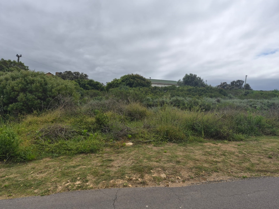 0 Bedroom Property for Sale in Boggomsbaai Western Cape